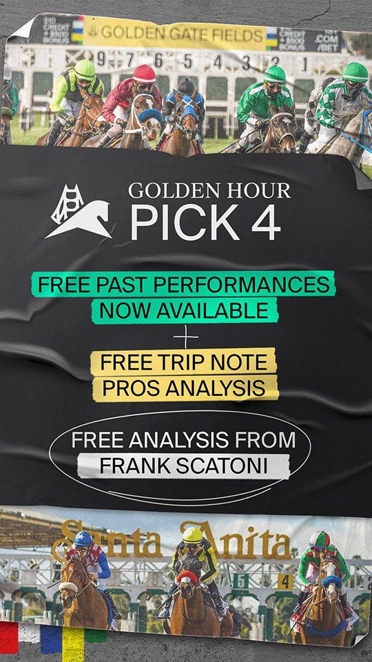 Golden Hour Pick 4